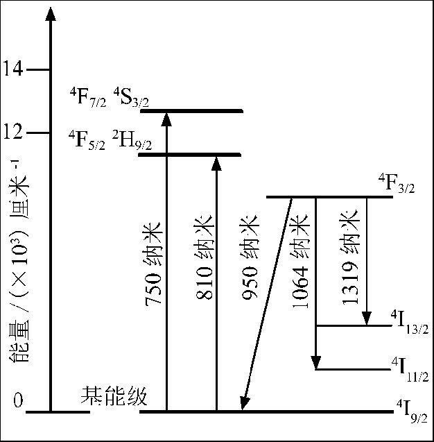 激光是60 年代初出现的一种新型光源,激光以其高亮度、高单色性、高方向性和高相干性,引起普遍重视,并很快在工农业生产、科学技术、医疗、国防等各个领域得到广泛应用。激光医学是激光技术与医疗科学有机结合的产物,激光在70 年代开始广泛用于临床;90 年代,随着新型激光器的研制成功,激光与医疗、生物组织科学紧密结合,研究范围日益扩大。 Nd:YAG 激光器以其增益高、阈值低、量子效率高、热效应小、机械性能良好、适合各种工作模式(连续、脉冲) 等特点,在当今各种固体激光器中应用物质相互作用的效果是不同的, 不同波